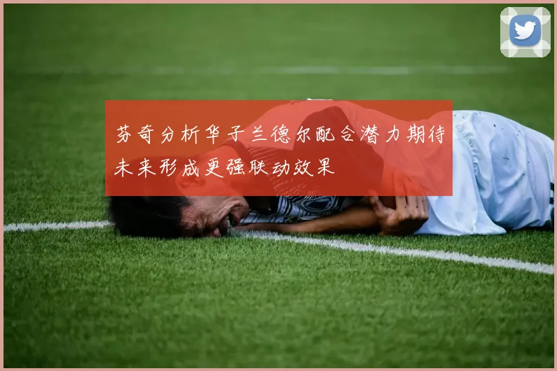 芬奇分析华子兰德尔配合潜力期待未来形成更强联动效果